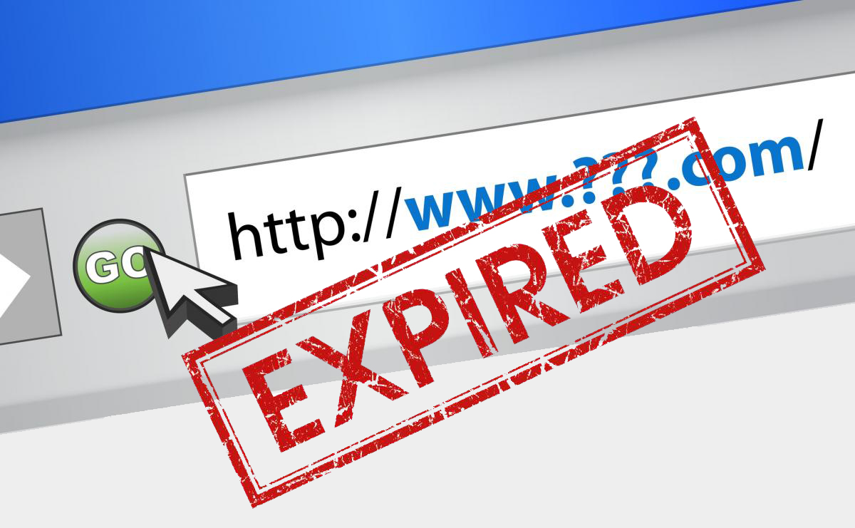 How To Profit From Expired Domain Names