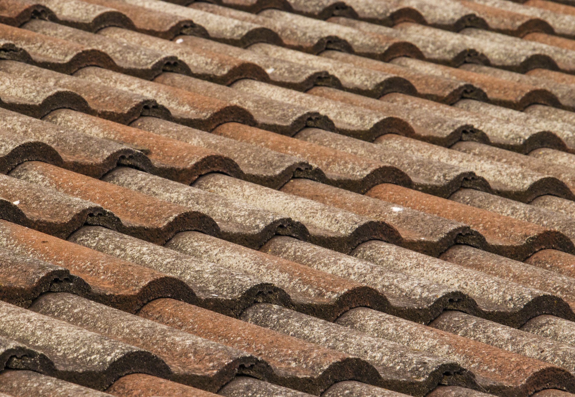 Roof Repair or Roof Replacement? How to Choose the Right Option