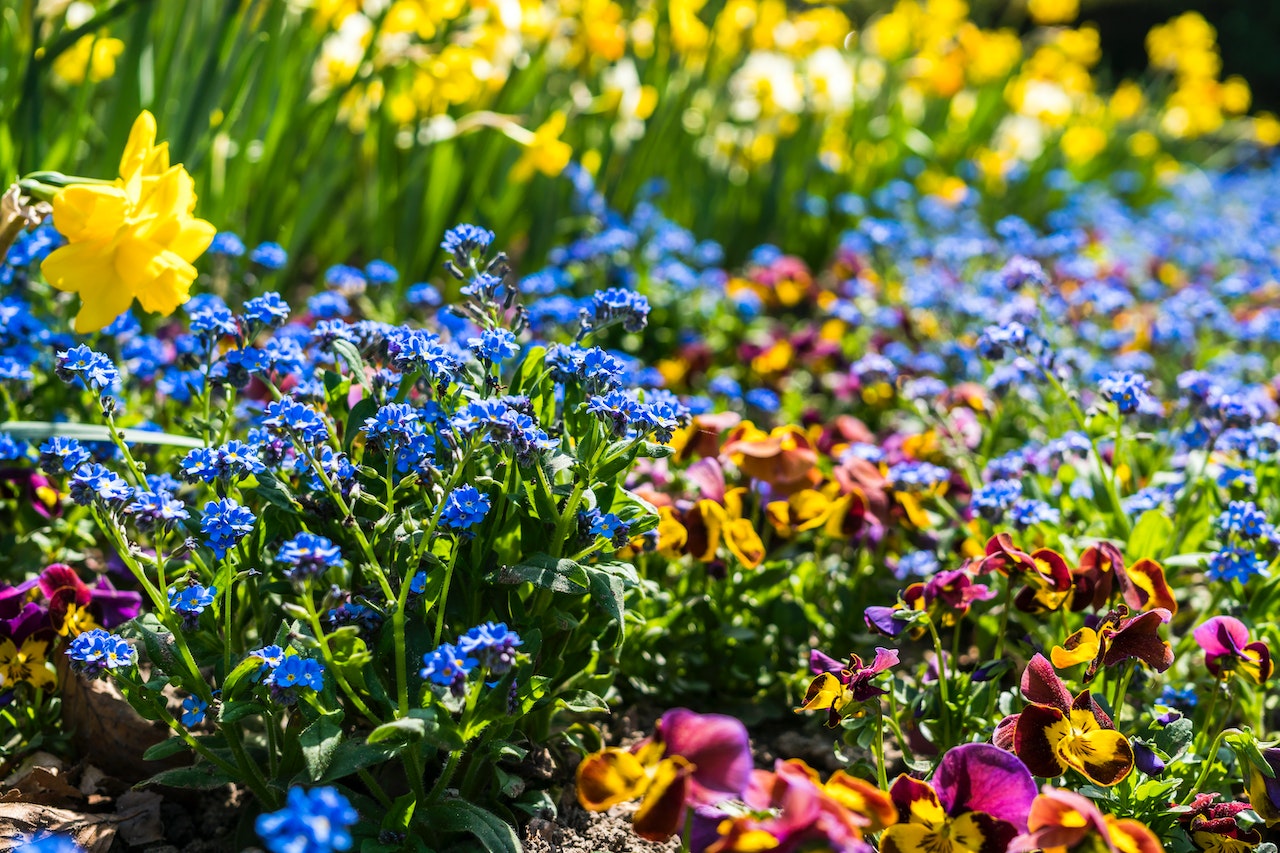 How Do You Make a Simple Flower Bed?