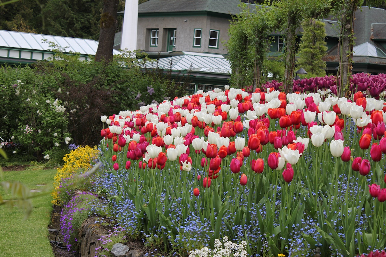 How Do You Layer a Flower Bed?