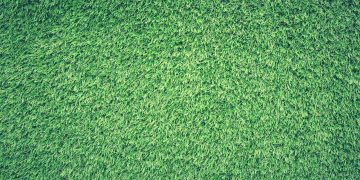 Is Artificial Grass a Green Revolution or an Eco-challenge? Evaluating the Pros and Cons of Artificial Turf