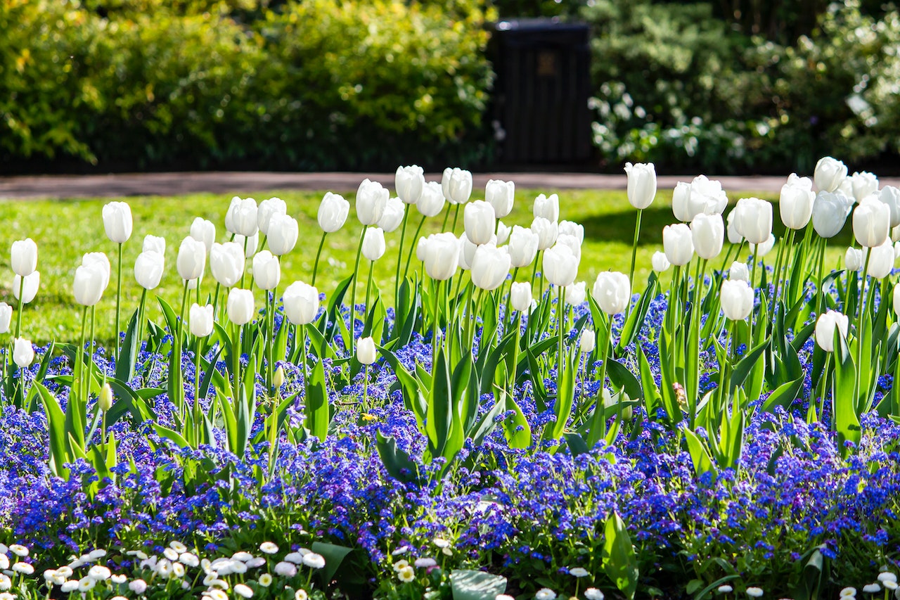 How Do You Make a Flower Bed With Landscape Timbers?