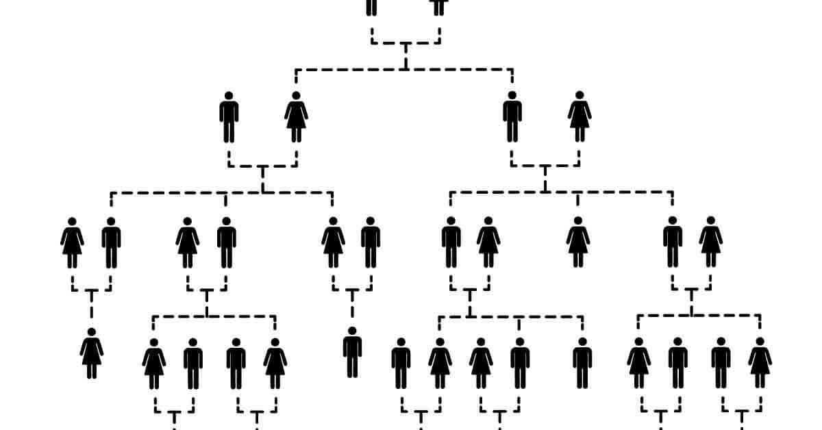  How to Create a Family Tree Online